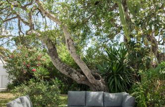 The Carobs Villas - Foto 46