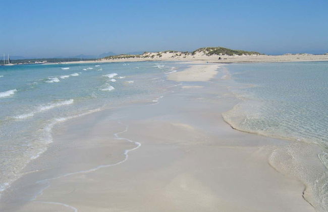 Excursión a la isla de Espalmador - Foto 5