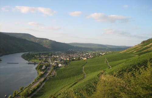 Moselferienweingut Schaefer - Photo 34
