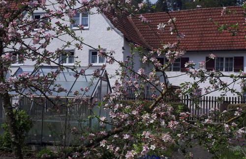 Ferienwohnung Trendelmühle Lautrach - Foto 22