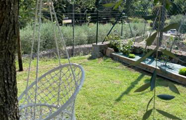 La Zinevrela - Foto 34