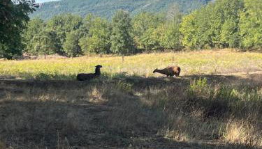 Petite Maison à la Ferme - Foto 2