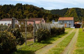 Casa da Porta Amarela - Photo 47