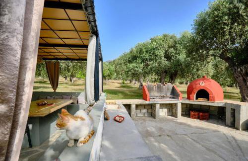 STUDIOS PIGASOS - Foto 19