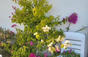 Cala Paradiso - Foto 42