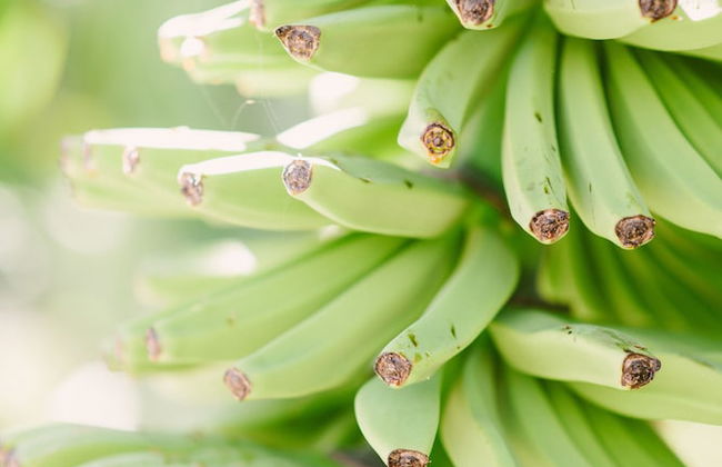 Casa Rural El Patio de Tita - Foto 47