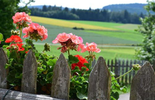 Ferienhof Obertennersreuth - Foto 17