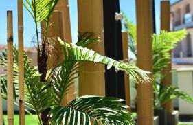 Bellavista luxury apartments - Foto 8