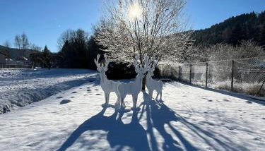 Nouveau, gîte RDVosges 5 chambres, jardin, calme, proche GERARDMER - Foto 2