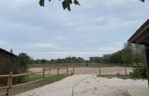 Gite Provençal du Mas Arnaud - Foto 28