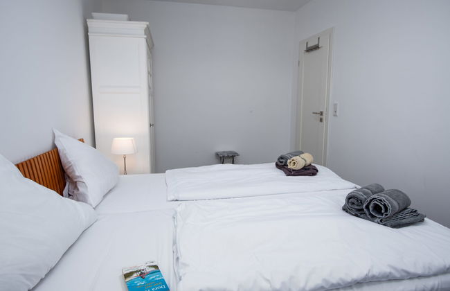 Kegelrobbe - Foto 16