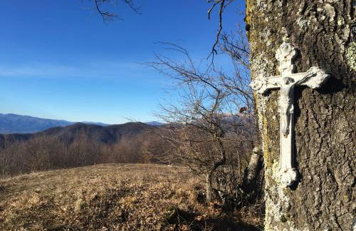 Casa Volpe - Foto 25