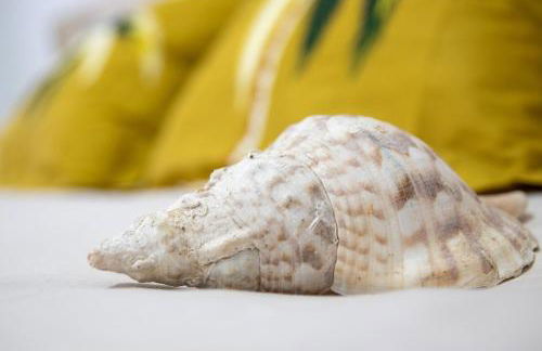 La Esquinita - Foto 30