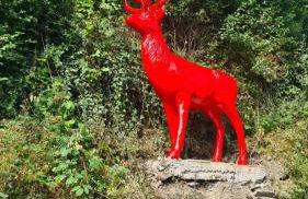 Waldhaus zum gechillten Hirsch in der Natur, bei der Moseltherme Traben-Trarbach - Foto 6