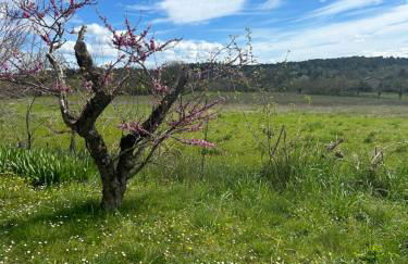 Gîte du mas Jubilé - Foto 14