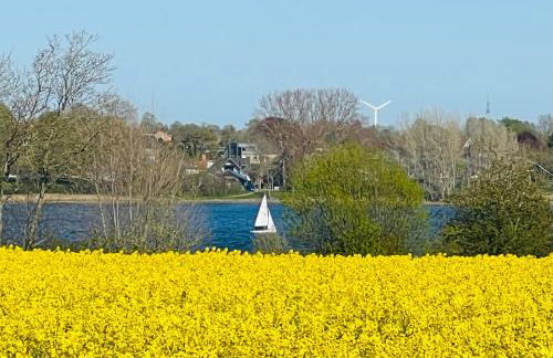 SOLund - Sonne im Herzen - ruhige und sonnige Ferienwohnung mit Terrasse und Garten nahe Strand und Ostsee - Foto 43