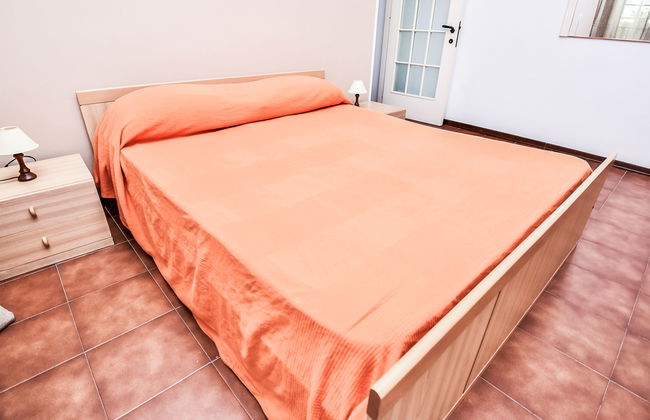 Green Marine, Palme, Ismare - Foto 11