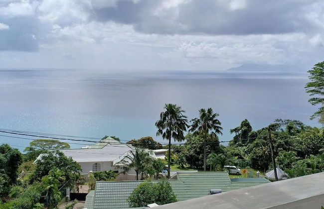 Rêve Bleu - Foto 43