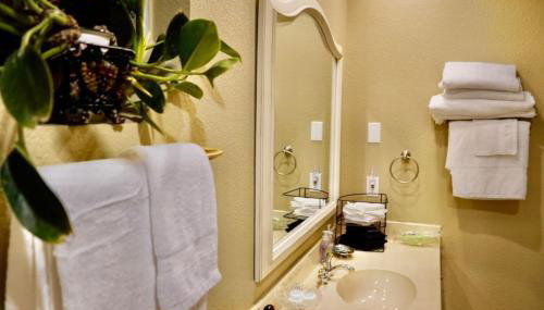 Massive lakefront home with HOT TUB - Foto 5