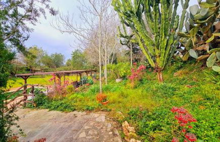 Ses Cases d'Alcudiola - Foto 72