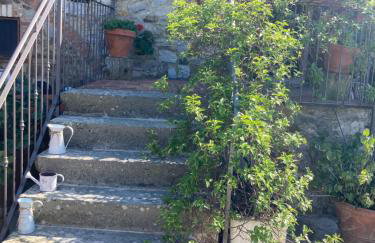 Salto di Gatto - Foto 44