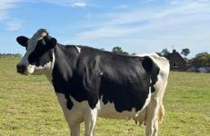 Cedar Barn - Nantwich, with Hot Tub - Foto 25