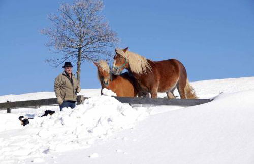 Ferien- und Freizeithof Bindl - Foto 29