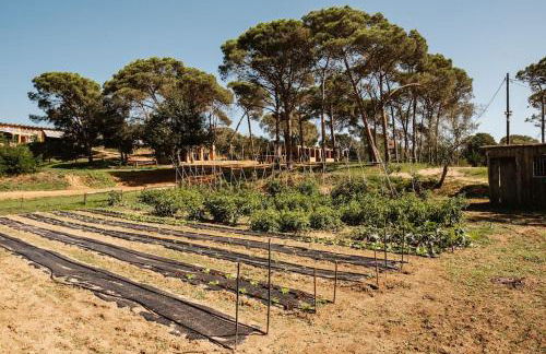 LOS TILOS Casa rural en el campo. - Photo 45