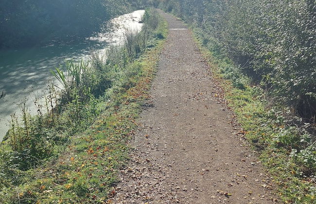 Chatterley House - Foto 54