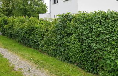 maison moderne à la campagne - Foto 20