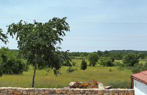 Family friendly house with a swimming pool Puljane, Krka - 11688 - Foto 19