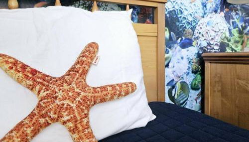 Discover the Deep Blue with Finding Nemo House - Foto 4