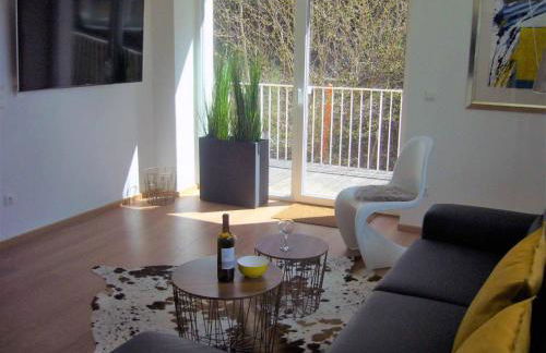 Ferienwohnungen Schönbachtal - Foto 7