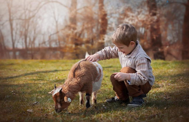 Zoopark Zelčín - Foto 42