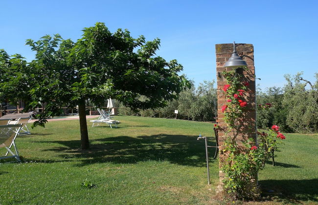 Fattoria di Colleoli - Foto 46