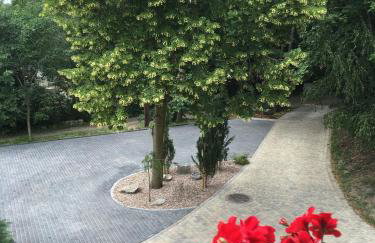 W Starym Sadzie - Foto 41