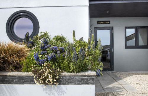 Turnstone - Photo 36