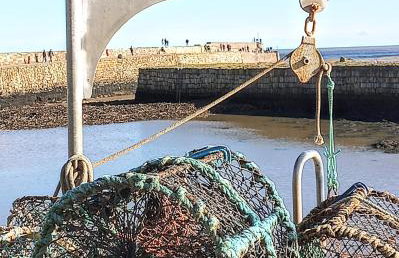 Auld Tom's Rest - Foto 25