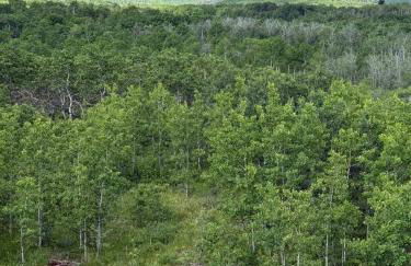 Glacier Mirador-A Fortress overlooking the Rockies Part of the Glacier Ridge Vacation Rentals - Foto 7