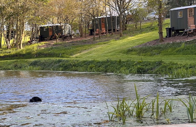North Norfolk Glamping - Foto 1