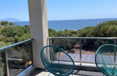 Platan Paradise - Foto 50