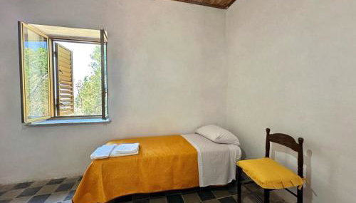 Il castagno - Foto 5