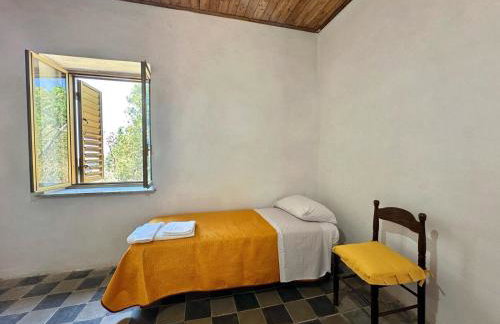 Il castagno - Foto 5