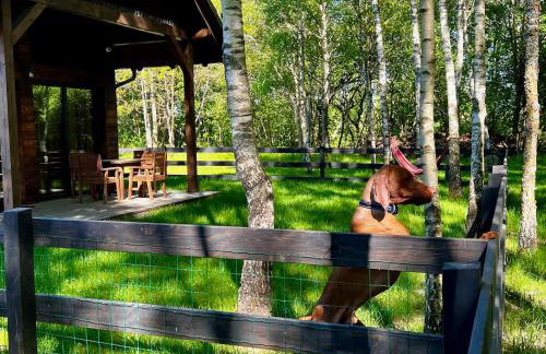 Kaszuby Camp - Foto 32