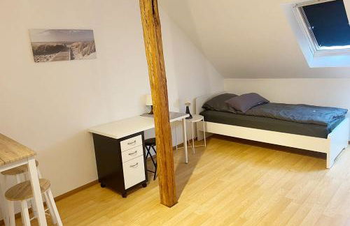 Nice Apartment in Zwickau - Foto 1