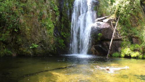 Casa Boletus - Foto 3