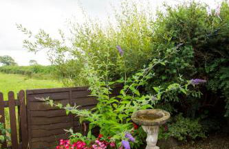 Goitre Bach Cottage - Photo 13