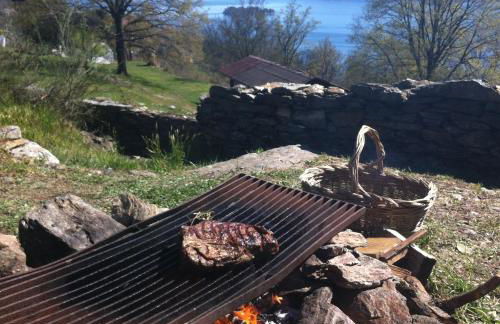 Il Ciliegio Selvatico - Foto 12