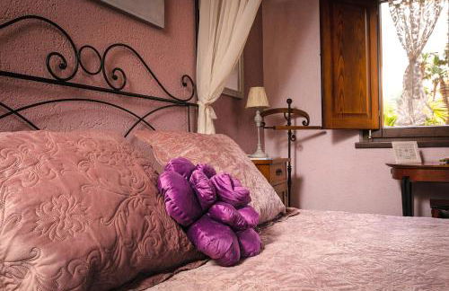 Garden Cactus - Foto 80