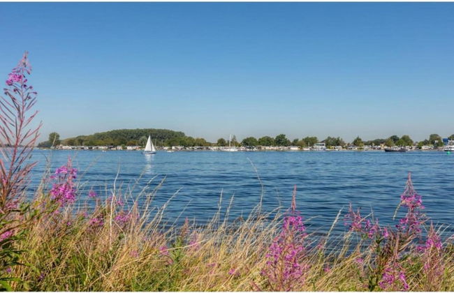 Villa by Lake Veere With Sauna and Terrace - Foto 31